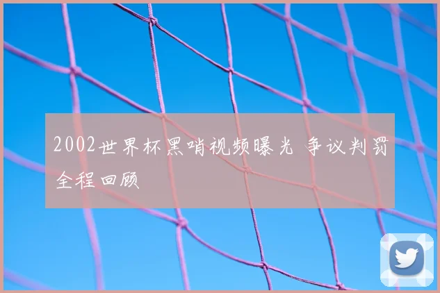 2002世界杯黑哨视频曝光 争议判罚全程回顾