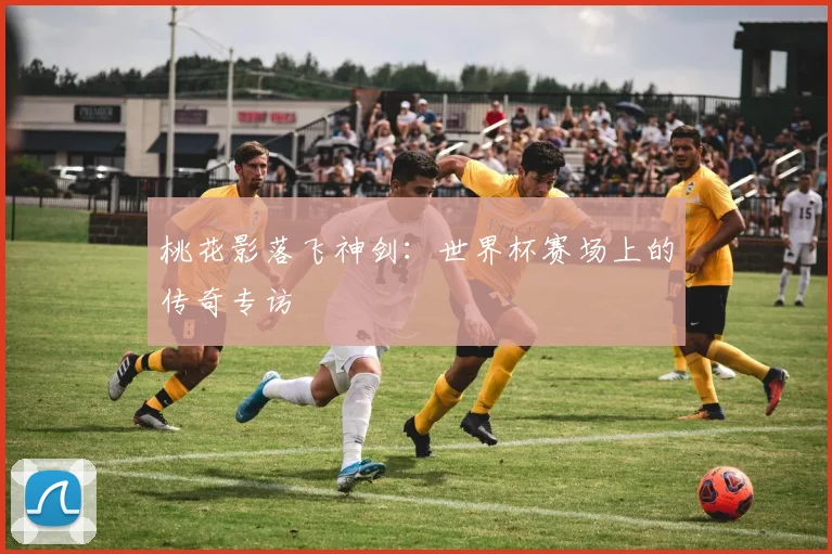 桃花影落飞神剑：世界杯赛场上的传奇专访