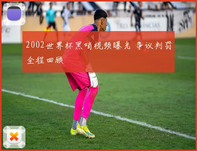 2002世界杯黑哨视频曝光 争议判罚全程回顾