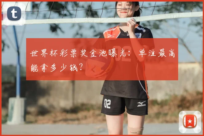 世界杯彩票奖金池曝光:单注最高能拿多少钱?