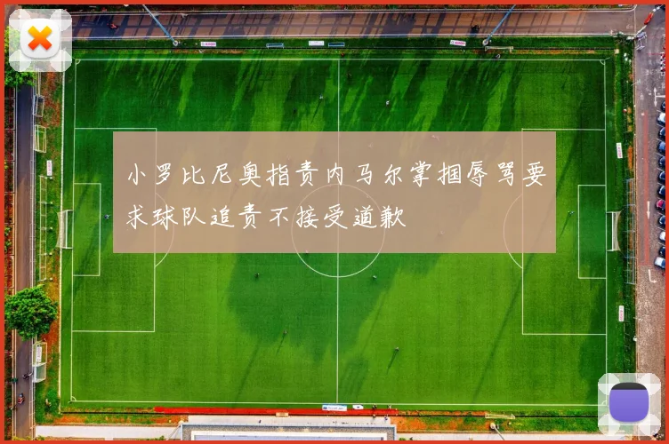 小罗比尼奥指责内马尔掌掴辱骂要求球队追责不接受道歉