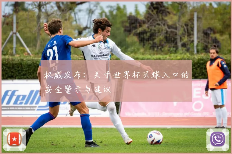 权威发布:关于世界杯买球入口的安全警示与建议