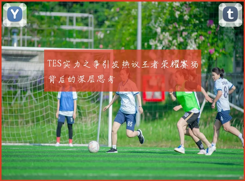 TES实力之争引发热议王者荣耀赛场背后的深层思考