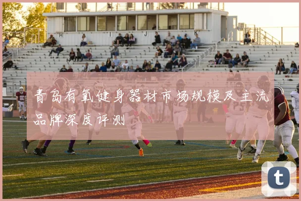 青岛有氧健身器材市场规模及主流品牌深度评测