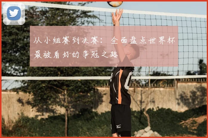 从小组赛到决赛:全面盘点世界杯最被看好的争冠之路