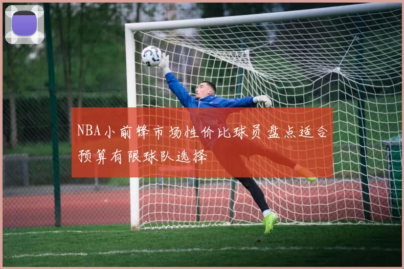 NBA小前锋市场性价比球员盘点适合预算有限球队选择