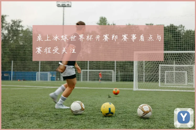 桌上冰球世界杯开赛即 赛事看点与赛程受关注