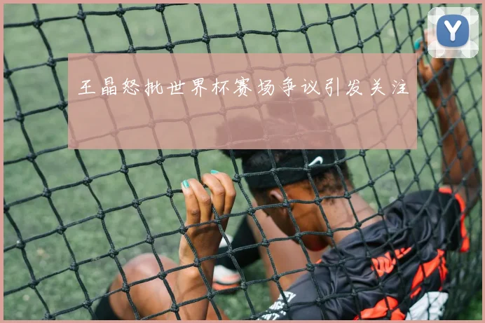 王晶怒批世界杯赛场争议引发关注