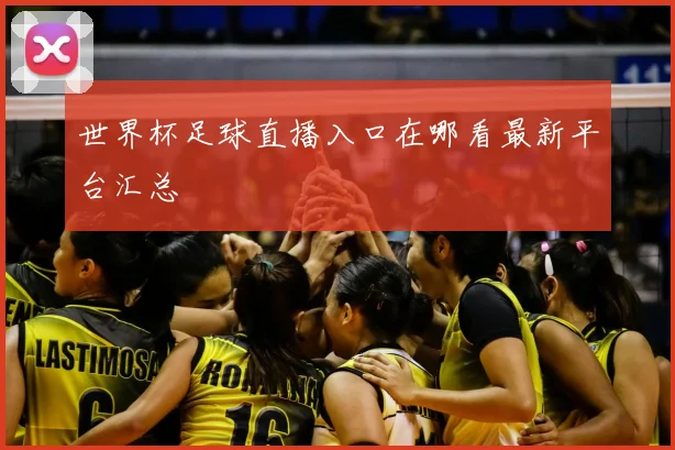 世界杯足球直播入口在哪看最新平台汇总