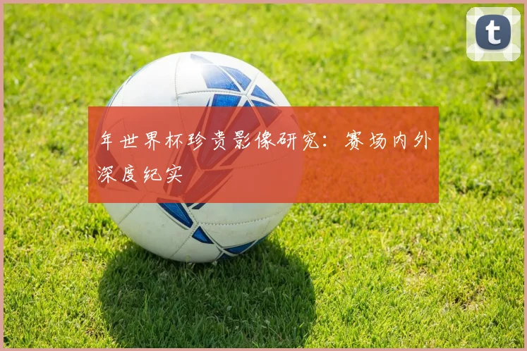 年世界杯珍贵影像研究:赛场内外深度纪实