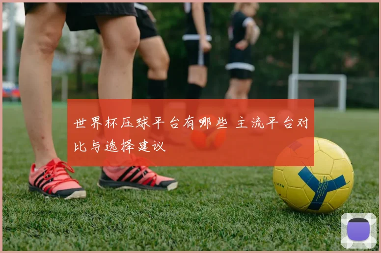 世界杯压球平台有哪些 主流平台对比与选择建议
